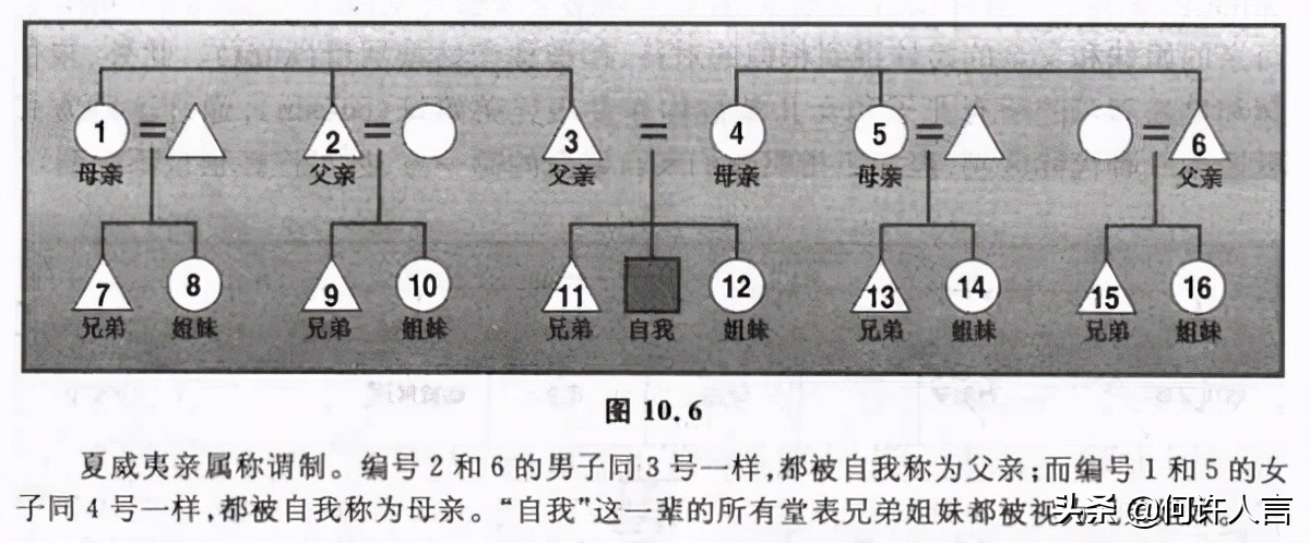 外国人对中国亲戚称呼的看法,外国人对中国亲戚称呼的理解