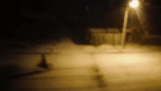 敖鲁古雅原始部落驯鹿喂草,敖鲁古雅驯鹿旅行