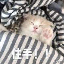 张柏芝最崩溃的时刻,张柏芝连续16天没醒