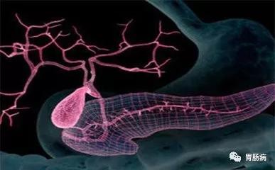 癌症之王胰腺癌晚期能活多久,癌症之王胰腺癌患者视频