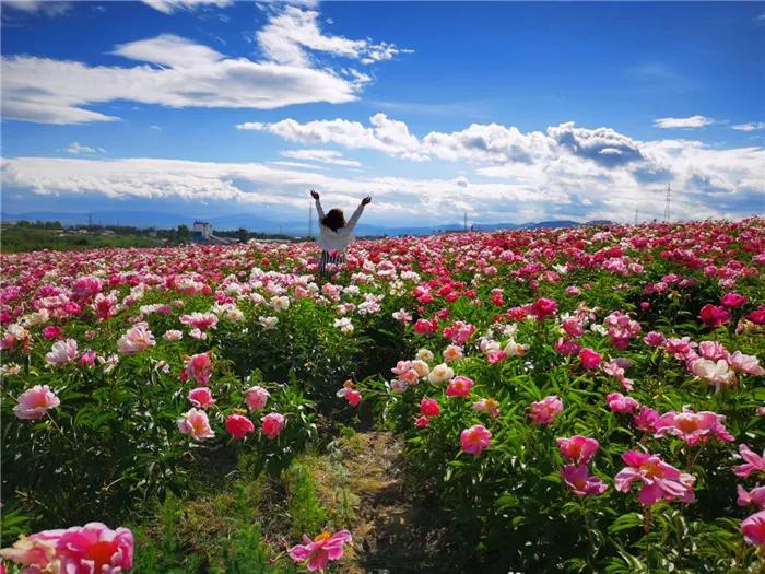 端午假期出游走哪儿这六条都别忘,端午节假期旅行
