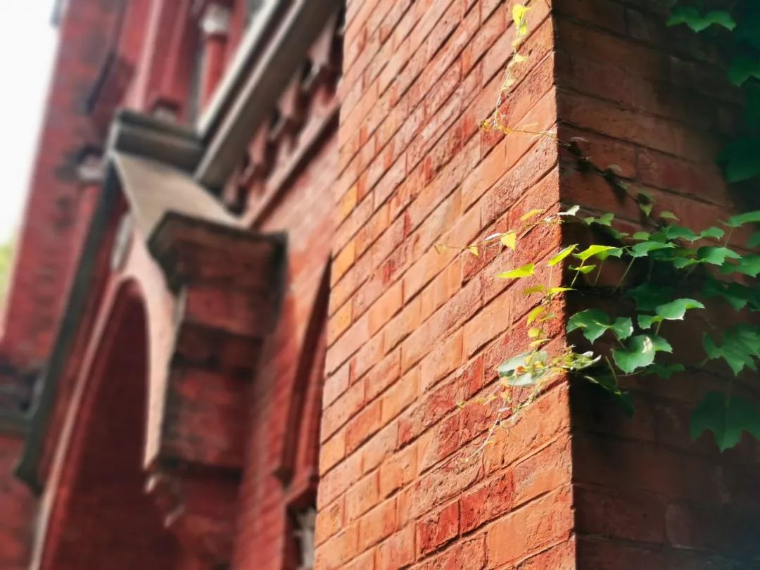 隐藏杭州红会医院内的红砖洋房，八十年前曾是贫苦百姓心中的圣地