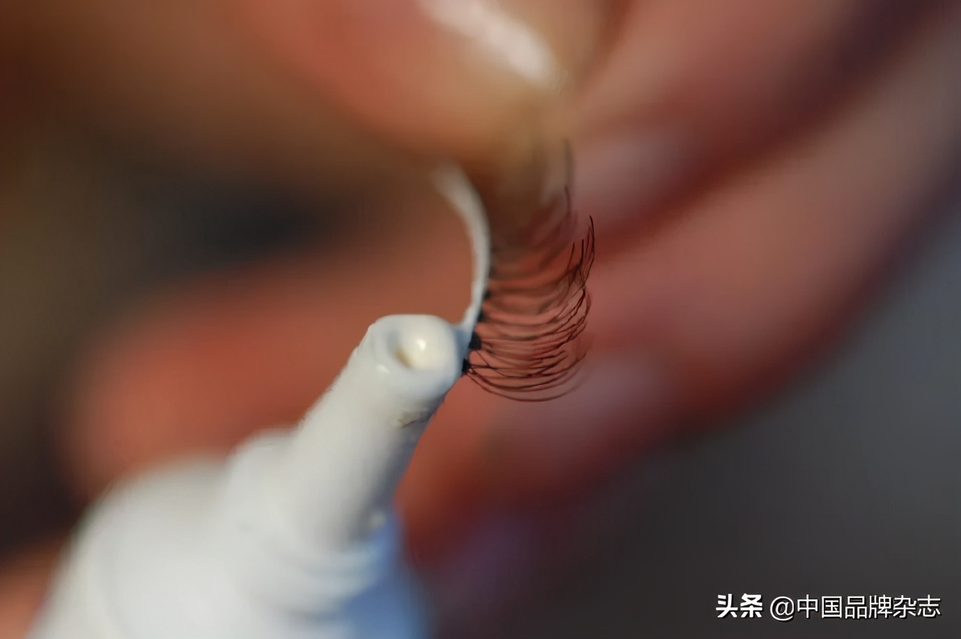 假睫毛美学,欧美市场假睫毛消费特点