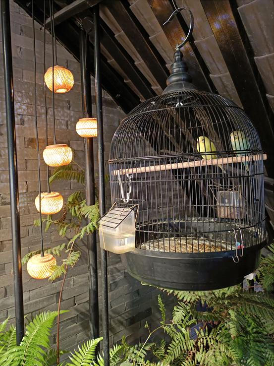 1799元realme真我q3pro狂欢版发布,realmeq3pro哪里有1599版本