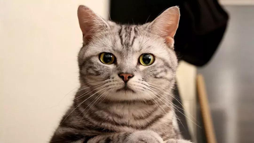 春节回家必经的隧道,不看本文我完全认不出!