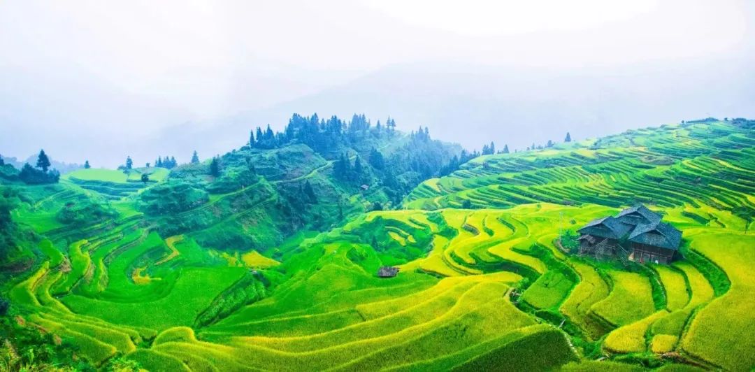 购物中心主要经营什么,购物中心和奥莱本质的区别