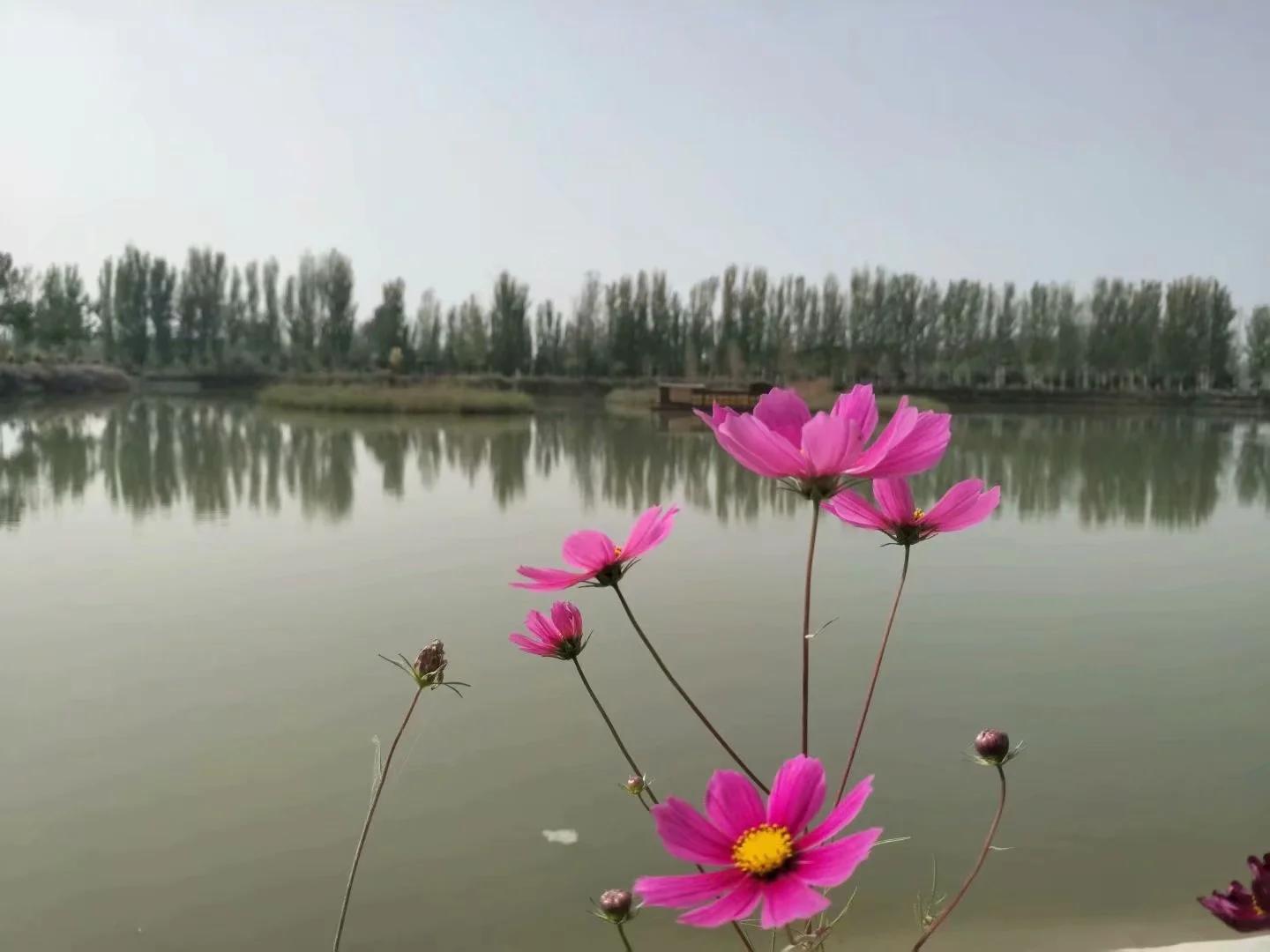 新疆南疆6天旅游攻略完整版,从库车出发新疆旅游攻略