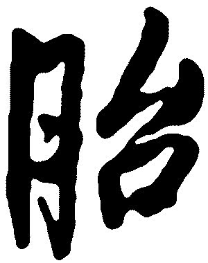 先兆流产，保还是不保？黄体酮是不是真的“没毛用”？