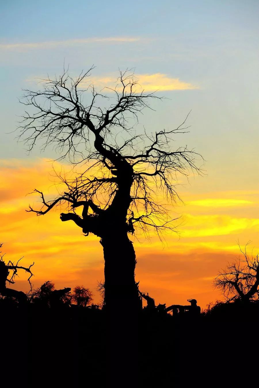 额济纳戈壁滩记录,额济纳戈壁滩沙漠