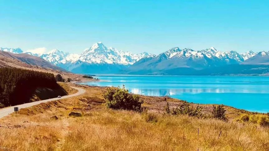 中国小伙去新西兰却横扫对手获得冠军，每份食材在手上都是艺术品