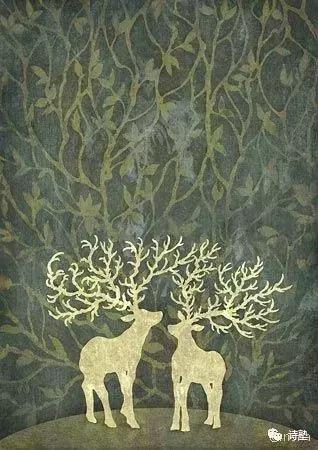 大自然的诗篇,写给大自然的一封信