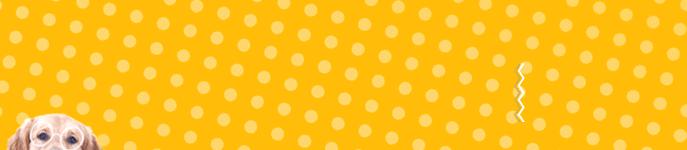 猫咪经常上蹿下跳会得髌骨脱位吗,猫咪脱臼了治疗要多少钱