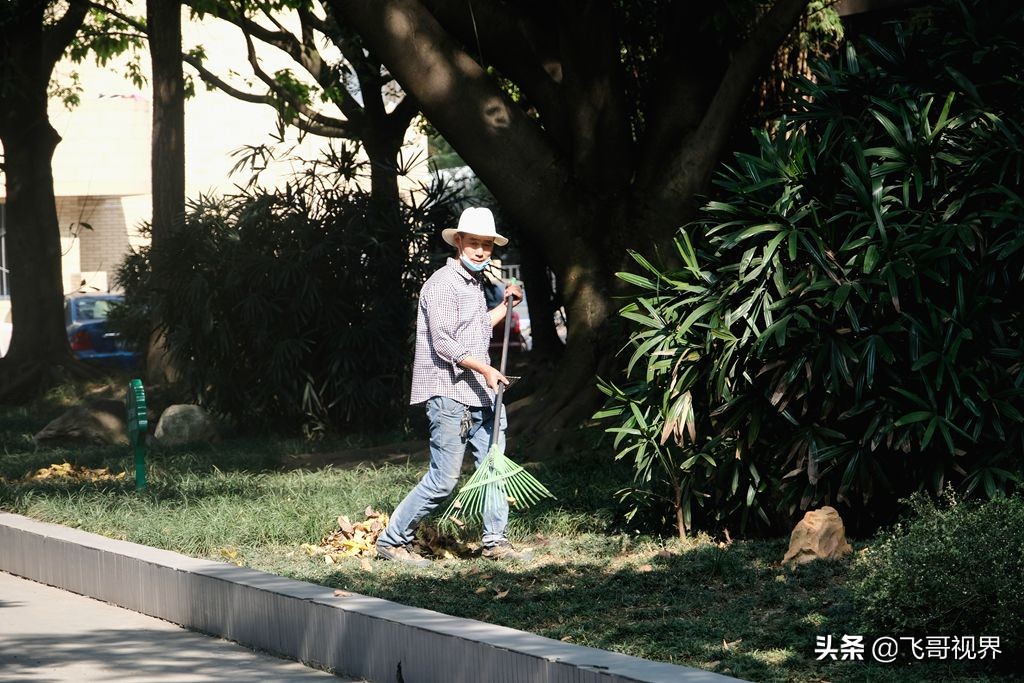 淡定从容面对疫情积极乐观的情绪,常态化疫情开学复课