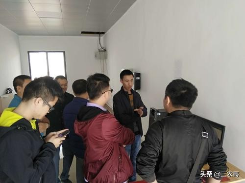 推荐5个农村创业项目,农村4个冷门创业项目解析