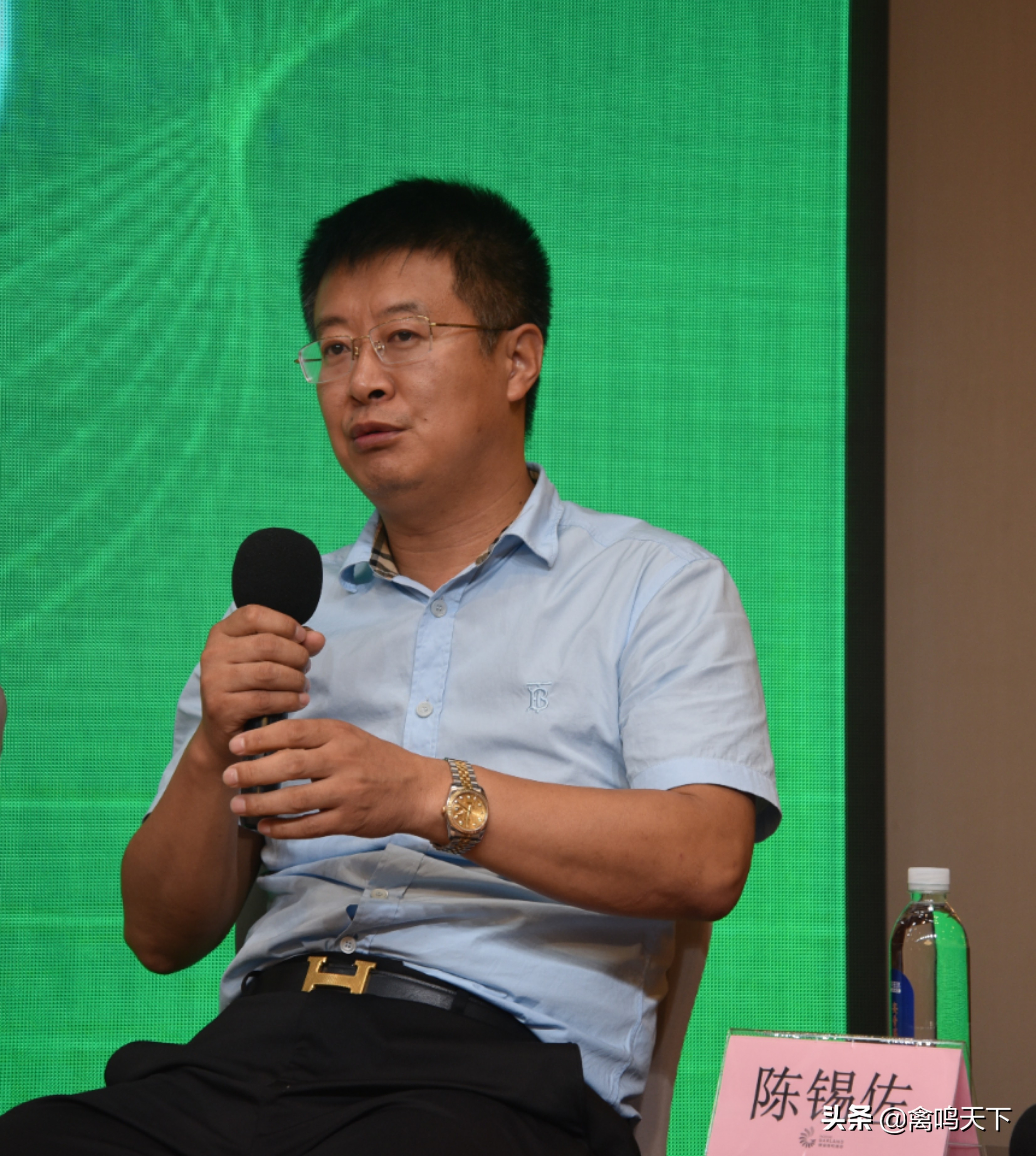 蛋品品牌运营,对话品牌蛋企