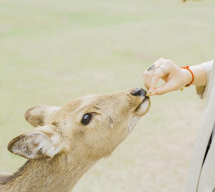 和女生聊天怎么聊才不尬聊的技巧,和女生聊天到底该怎么聊啊