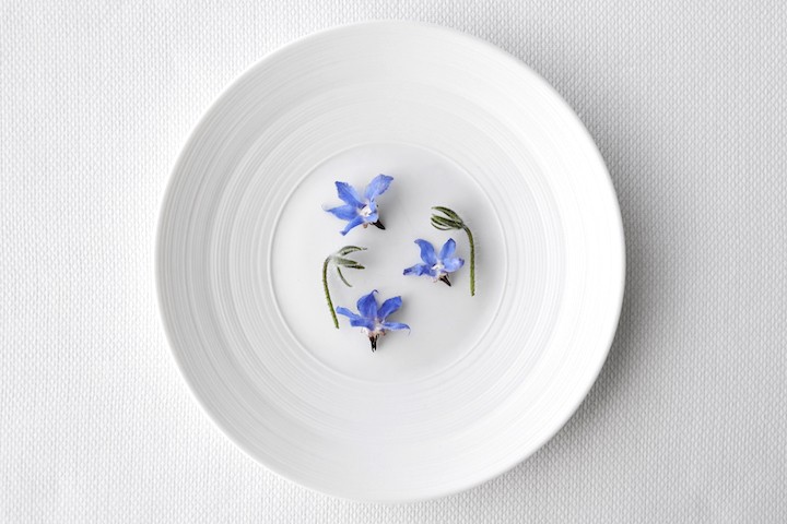 15种挑菜方法 (择菜方法与技巧)