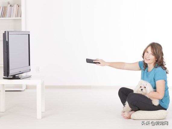 推荐给狗狗看的电影,关于狗狗和人性的电影