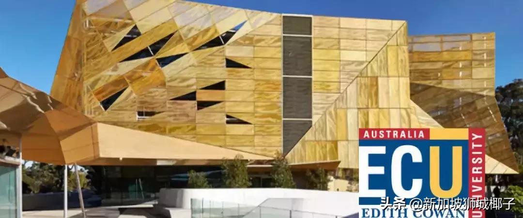 高薪!一部中国热播偶像剧,让新加坡这个专业彻底火了