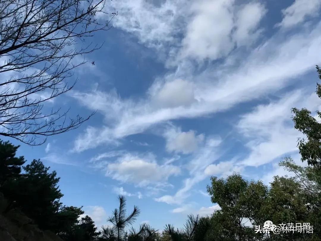 五莲县灵公山阴,“皮胡骚”!还发现了?