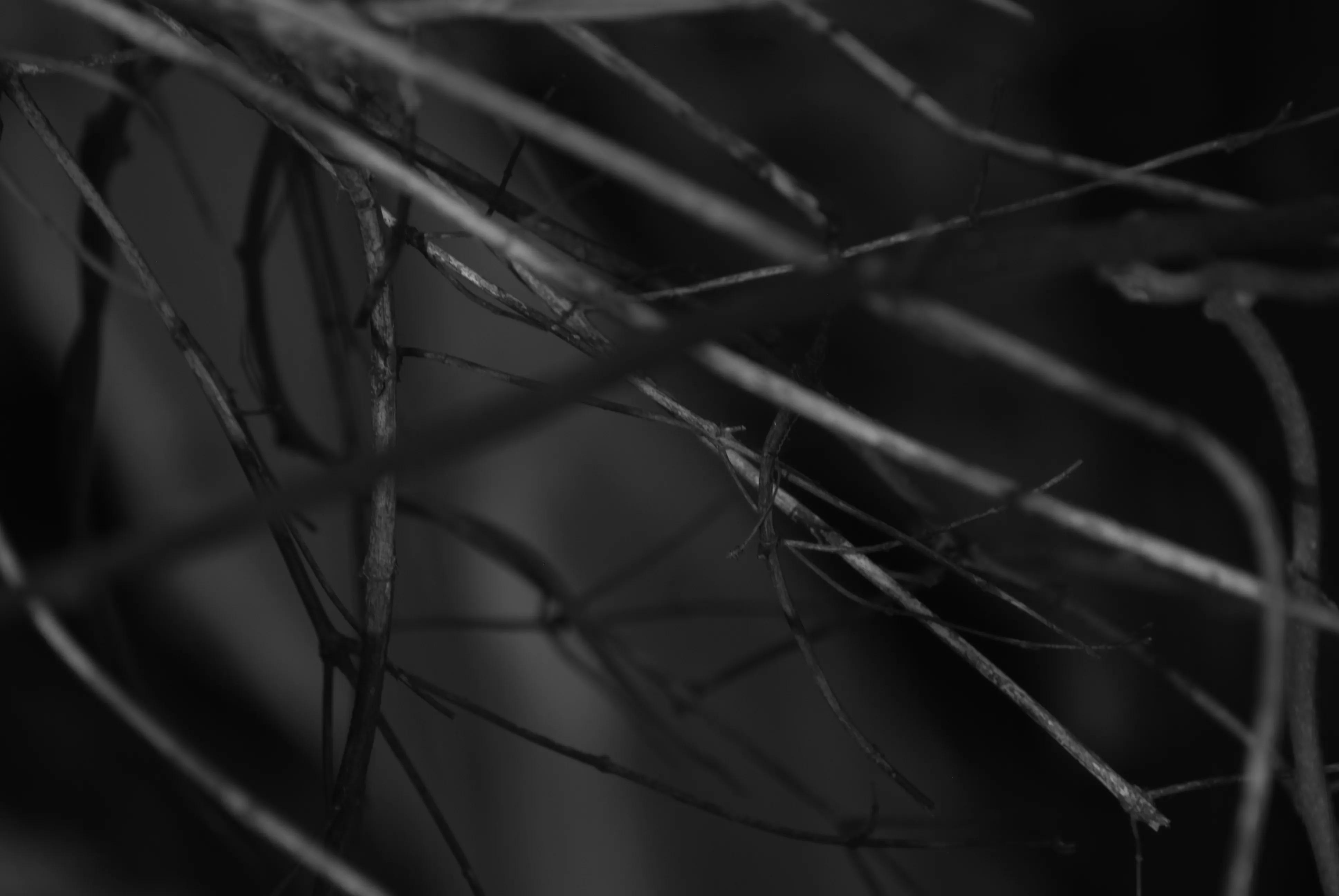 1000多的二手单反值得买吗,1000元左右二手单反全画幅