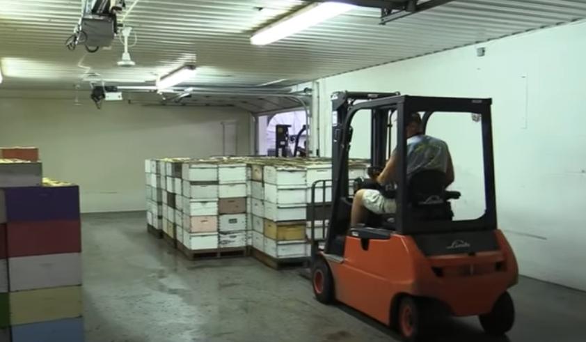 中蜂自然成熟蜜,中蜂蜜波美度低吗