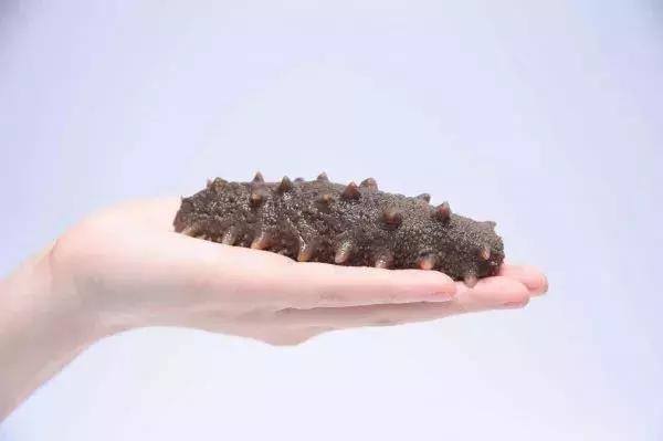 春节海参的正确吃法,春节吃海参