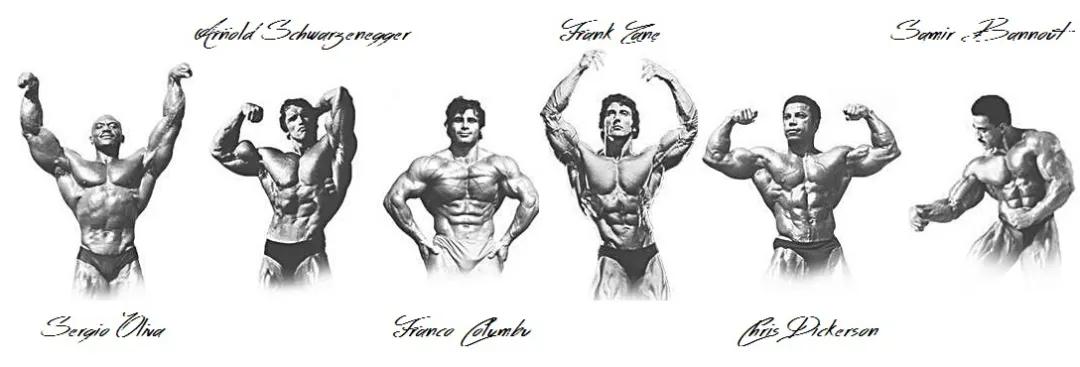 健美和普通的健身有什么区别,健美10年都发生了什么变化