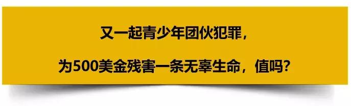 43名学生失踪案例已证实死亡,失联学生被抛尸荒野