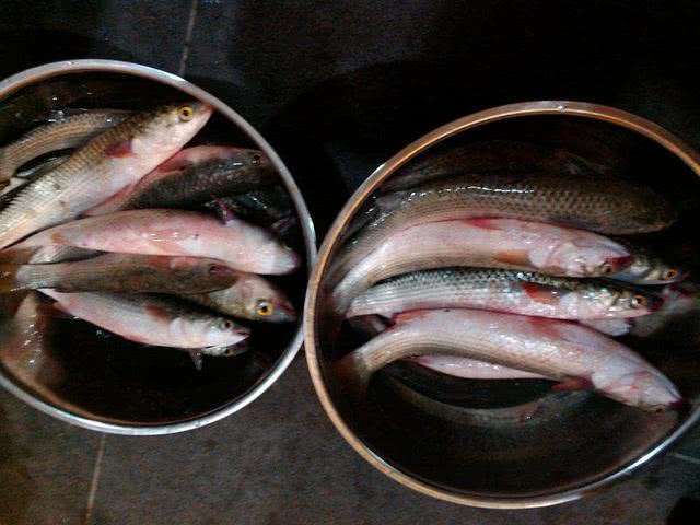 汽水钓海鱼视频,深水岸钓海鱼