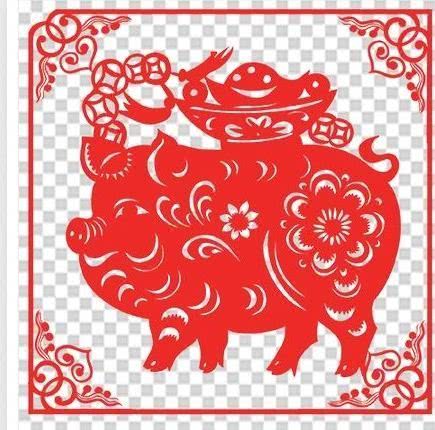 从丁亥到己亥—武昌水果湖中学六六届高三（1）班同学聚会本命年