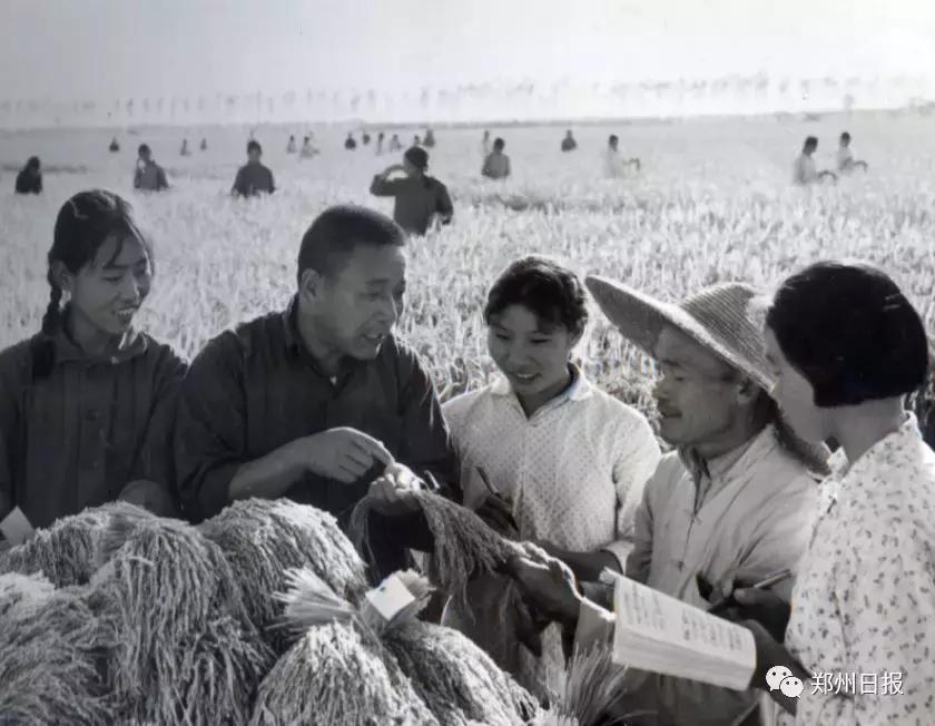 向全国推介郑州之惠济区：这里是山水惠济