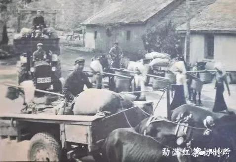 最惨茶厂：高频轰炸中坚持生产茶叶