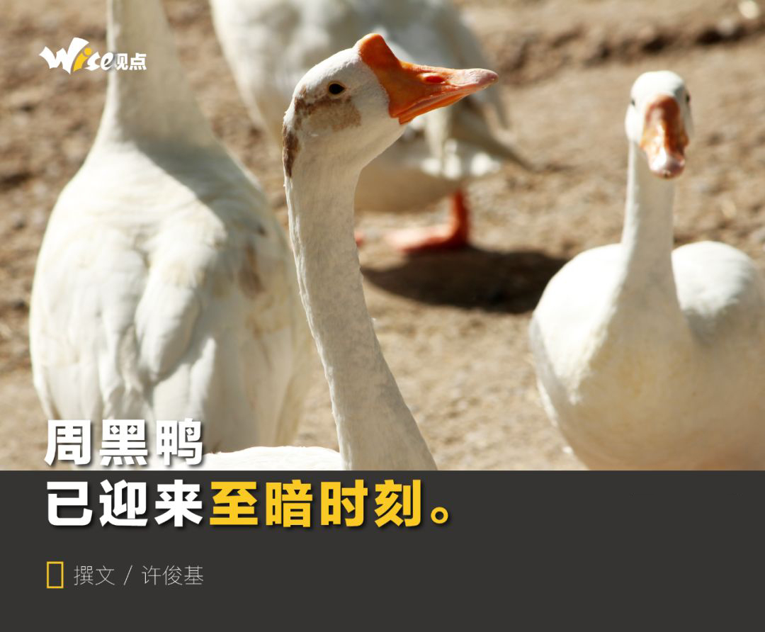 周黑鸭门店业绩下滑的原因是什么,周黑鸭全国关店率