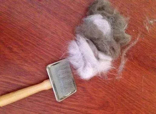 儿童春季咳嗽有痰最快解决方法,春季过敏咳嗽怎么办最有效的方法