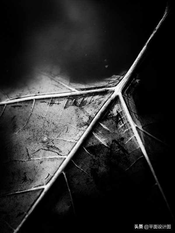 经典延续RicohGR海外长期使用心得