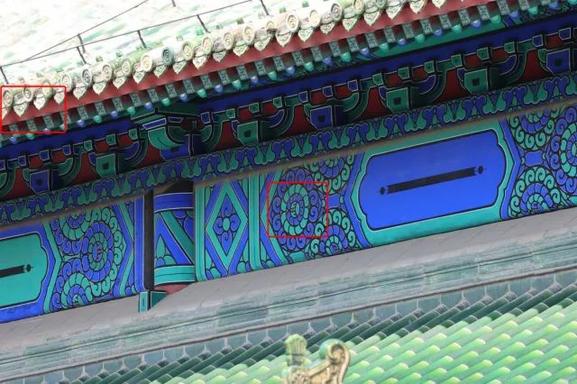 佳能rf100-500mm镜头拍鸟,佳能长焦相机100倍