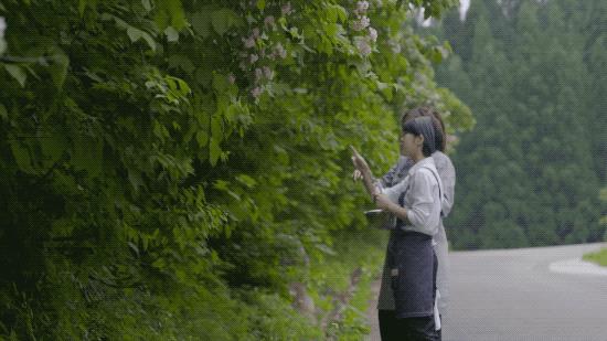 雪山下的温泉美丽,最值得去的有雪山温泉的地方