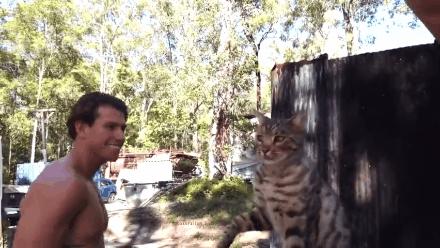 来了来了!他们带着猫猫又来了