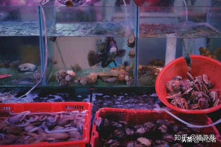 青岛好吃又好逛,青岛好吃档口