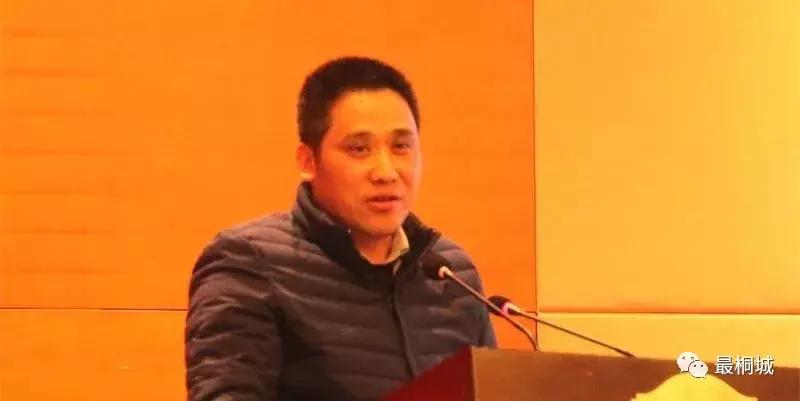 看桐城市发展怎么样,看桐城新闻