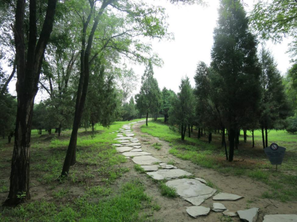 北京古塔公园历史,北京唯一湿地公园