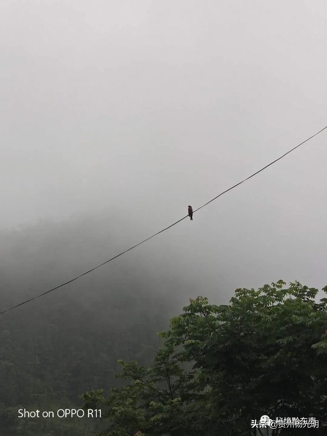 璐靛窞涓栧妗冩簮缇庢櫙,璐靛窞涓栧妗冩簮椋庢櫙