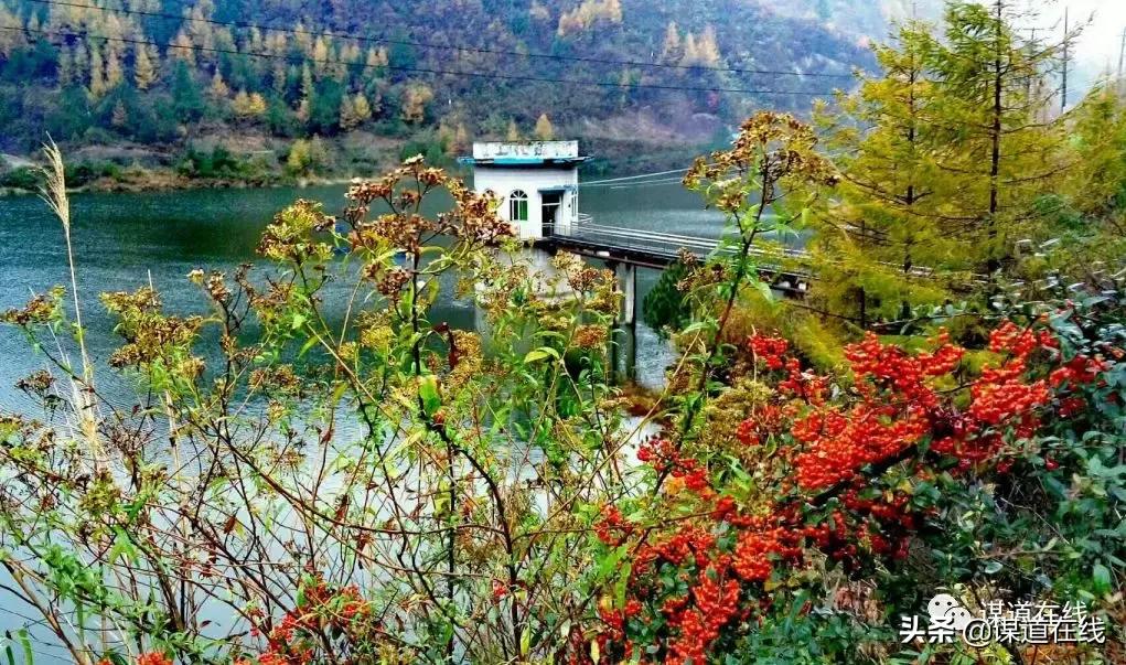 一位候鸟对苏马荡最美小地方的释义,及其未来发展要讲的话