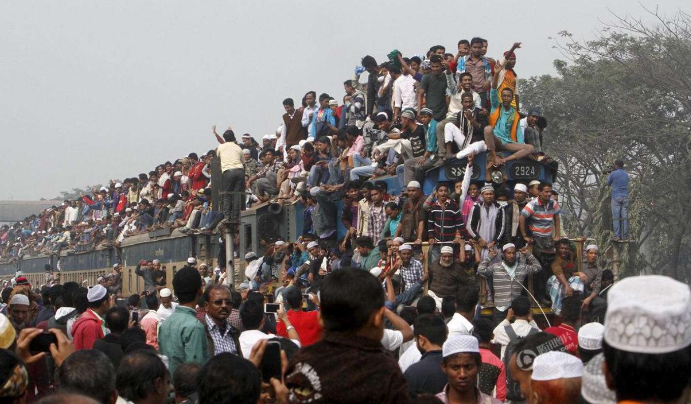 最顶级的食物竟然是蟑螂,蟑螂奶营养价值比牛奶高吗