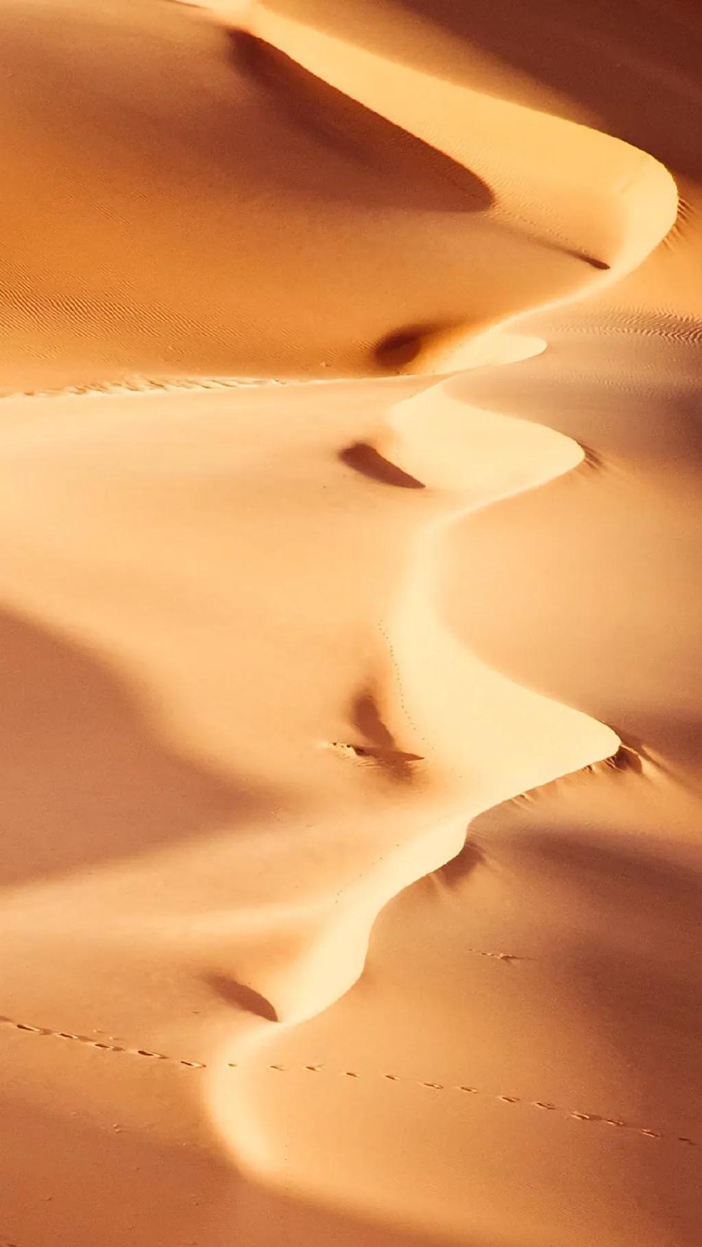 壁纸超清风景沙漠,沙漠壁纸高清图片大全