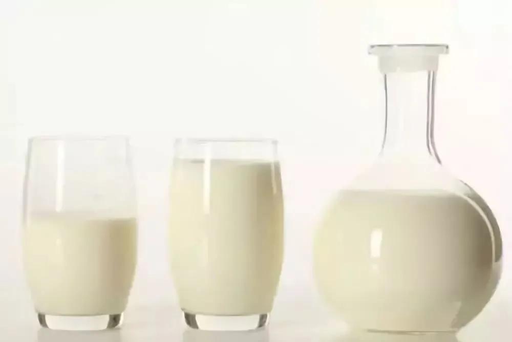 三伏天喝羊奶好吗,伏天喝羊奶有哪些好处