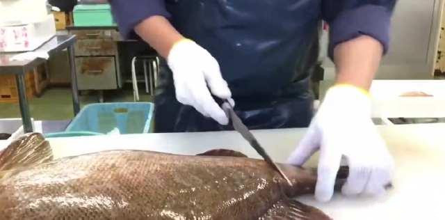 月薪三万的日本顶级厨师,处理“极品大石斑”,你觉得如何?