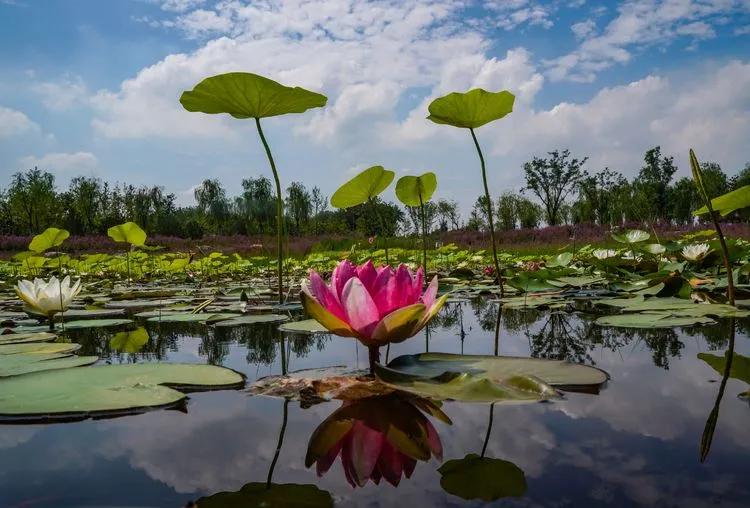 儿童乐园绿心公园,绿心公园儿童游乐区最新视频