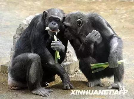 50条让你震惊的冷知识,这十个冷知识确实涨见识